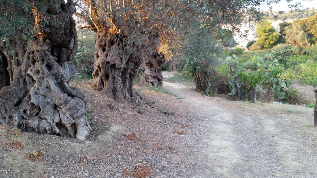 La Villa Di Minerva Agrigento Luaran gambar