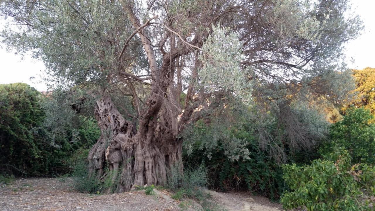 La Villa Di Minerva Agrigento Luaran gambar