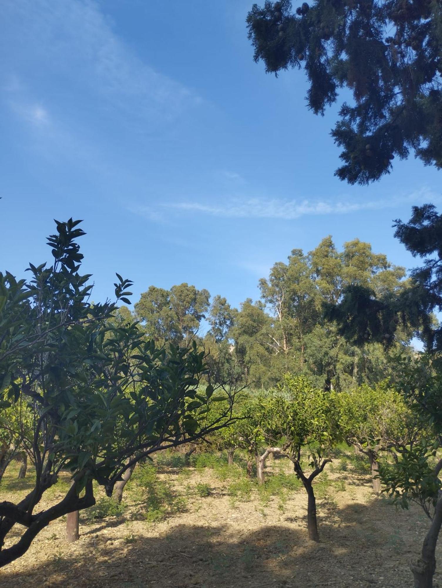 La Villa Di Minerva Agrigento Luaran gambar