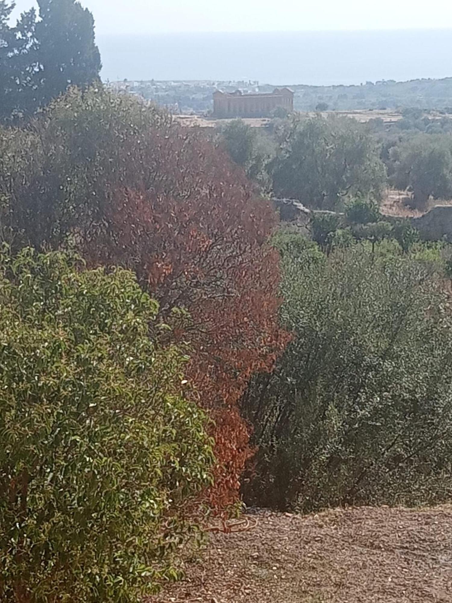 La Villa Di Minerva Agrigento Luaran gambar