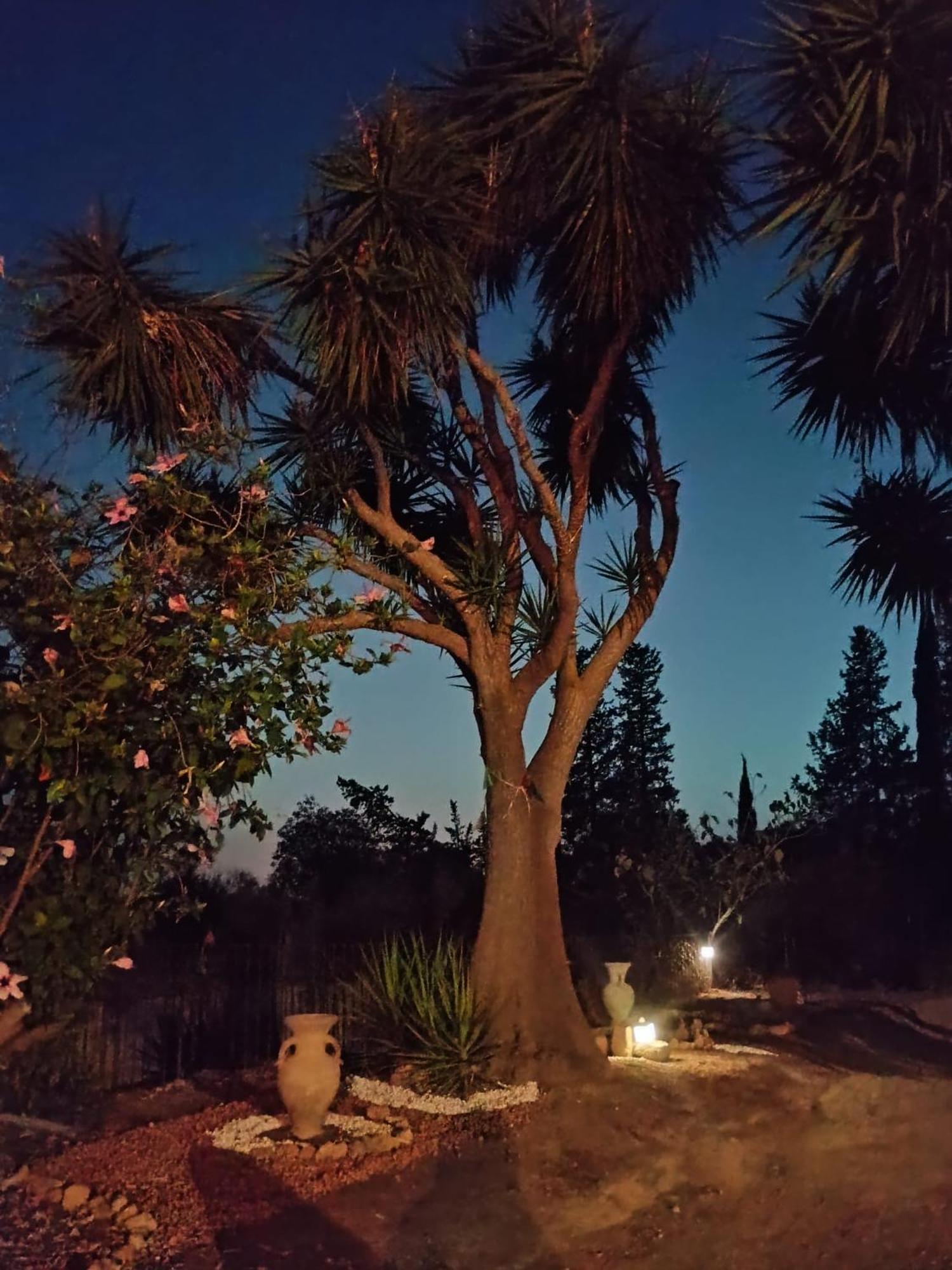 La Villa Di Minerva Agrigento Luaran gambar